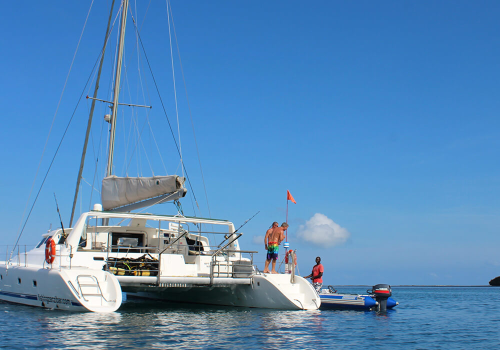 Catamaran Luxury Experience