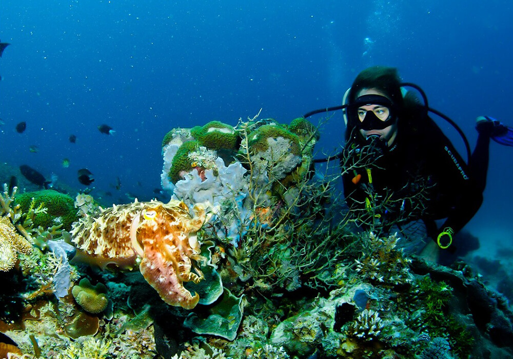 Diving Experience in Zanzibar